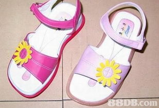 2019年香港寵物X光價格及商戶聯(lián)系資訊解析