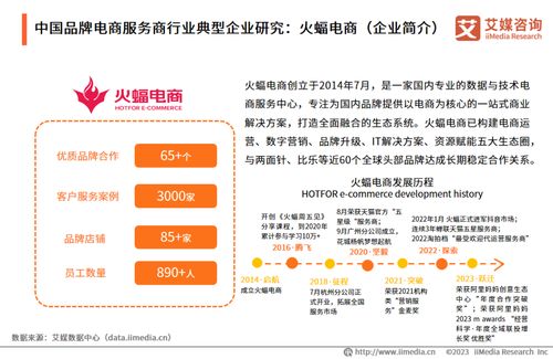 艾媒咨詢(xún) 2023年中國(guó)品牌電商服務(wù)商行業(yè)研究報(bào)告